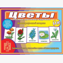Игра "Цветы (лесные, луговые, садовые)"