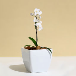 Цена за 2 шт. Кашпо для цветов, 15×15 см, 2.5 л, пластик, белое