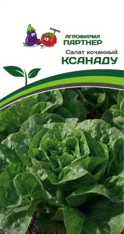 Салат кочанный Ксанаду