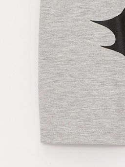 Bisiklet Yaka Batman Bask?l? K?sa Kollu Erkek ?ocuk Ti??rt - Waikiki фото 3