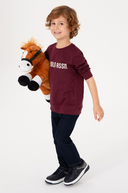 Erkek _ocuk Bordo Bisiklet Yaka Sweatshirt - U.s. polo assn фото 4