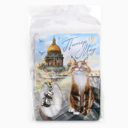 Цена за 3 шт. Магнит «Питер», 6×8 см