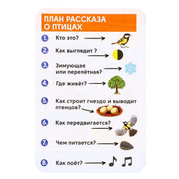 Развивающий набор Перелётные и зимующие птицы - Iq-zabiaka фото 2