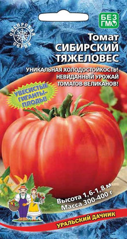 Томат СИБИРСКИЙ ТЯЖЕЛОВЕС Уникальная холодостойкость! Невиданная урожайность томатов великанов!