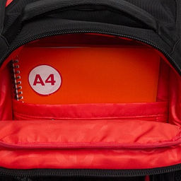 RB-450-2 Рюкзак школьный - Grizzly фото 37