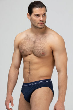 Мужские трусы R-14T Blue-Melange