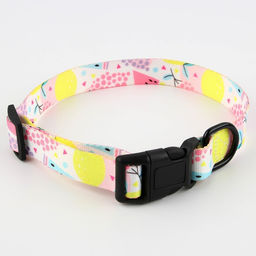 Ошейник Сочное настроение, застёжка - фастекс, 2.5 см, 40-55 см - Пушистое счастье фото 5