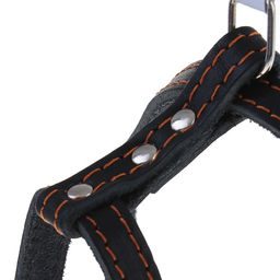 Шлейка кожаная Прогулочная, 1,5 см, ОШ35-50 см, ОГ 60-68 см, чёрный - Пижон фото 5