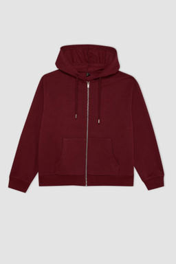 Relax Fit Kapusonlu Cepli Basic Duz Fermuarl? Sweatshirt - Defacto фото 5