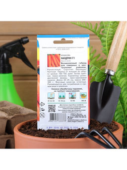 Набор семян Морковь "Нандрин" , 5 шт.