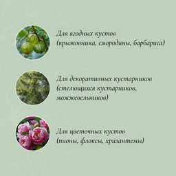 Цена за 2 шт. Кустодержатель, d=50 см, h=90 см, ножка d=1 см, металл, набор 2 шт., зелёный - Simaland фото 2