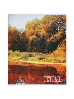 Комплект тетрадей, 48 листов в клетку, Calligrata «Времена года», серые листы, 4 штук