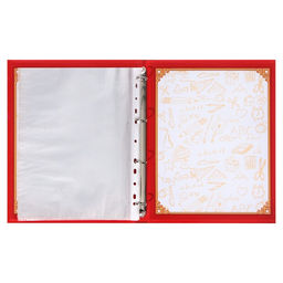 Папка школьная на кольцах «Портфолио школьника», 13 листов-разделителей, 24.5×32 см