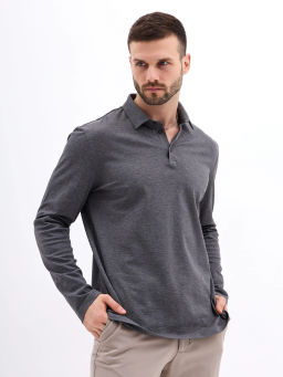 Джемпер мужской с воротником поло GREG G155-PM14T-LT7326-4 (серый)  фото 5