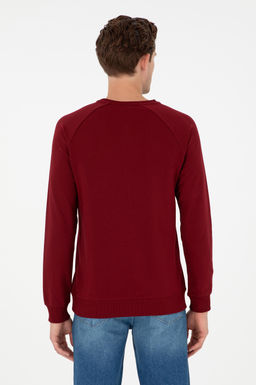 Мужской бордово-красный базовый свитшот Неожиданная скидка в корзине - U.s. polo assn фото 5