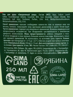 Новогодний подарочный набор косметики «С Новым годом», гель для душа 250 мл и мочалка для тела, Чистое счастье