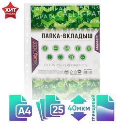 Цена за 2 шт. Файл - вкладыш Calligrata, А4, 40 мкм, глянцевый, вертикальный, 25 штук