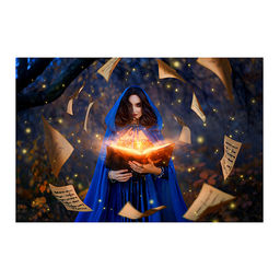 Холст с красками 22х30 по номерам "Могущественная колдунья" (16цв.)