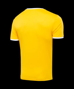 Футболка футбольная JOGEL CAMP Origin, желтый/белый, детский
