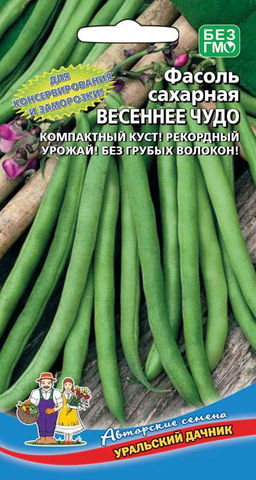 Фасоль ВЕСЕННЕЕ ЧУДО  Сахарный тип! Компактный куст! Без грубых волокон! Рекордный урожай! Для консервирования и заморозки!