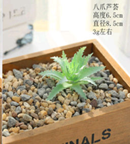 Суккулент искусственный 8х6,5 см / GN115 /уп 100/