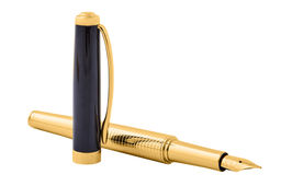 Ручка перьевая Pierre Cardin коллекция ЛЮКС | GOLDEN PC8112FP - Cross фото 7