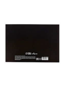 Цена за 5 шт. Альбом для рисования Calligrata А4, 20 листов, на скрепке, МИКС