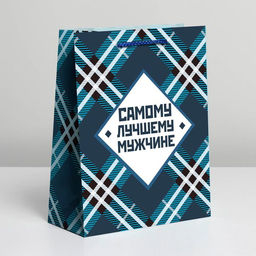 Пакет ламинированный Самому лучшему мужчине, MS 18 х 23 х 8 см