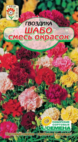 Шабо Смесь окрасок гвоздика 55см 0,1гр (ссс)