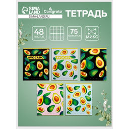Цена за 10 шт. Тетрадь 48 листов в клетку, Calligrata Авокадо, белые листы, МИКС