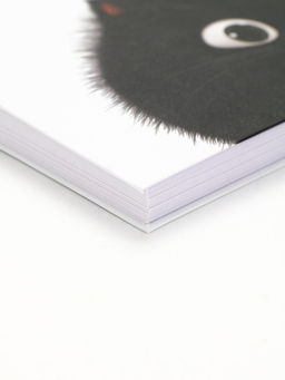 Скетчбук в твердой обложке на гребне А5 80 л 100 г/м "Котик"