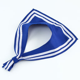 Набор моряка «Морской флот»: бескозырка р. 52-54 см, гюйс