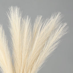 Сухоцветы искусственные «Пампасная трава», 43 см, 3 шт., бежевый