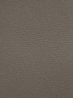 Сумка ELEGANZZA ZYU24-9075 mocha mousse