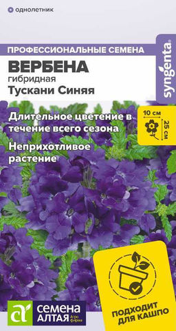 Цветы Вербена Тускани гибридная Синяя/Сем Алт/цп 4 шт. НОВИНКА (2029 / 4569)
