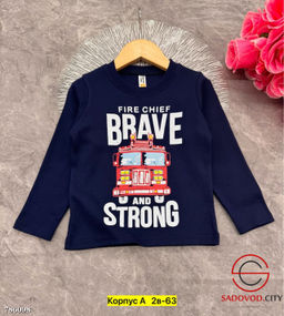 Кофта для мальчика с рисунком