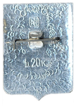 Значок Жиганск