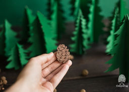 Деревянная брошь Шишка - Сибирский кедр фото 3