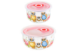 Набор 2 салатников - 13*13*6,5 см 560 мл+10,5*10,5*6 см 260 мл Совушки с плас.крыш. NEW BONE CHINA - Elan gallery фото 5