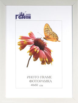 Фоторамка 40х50 / 2009C-012A /