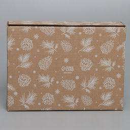 Цена за 2 шт. Коробка новогодняя складная «Шишки», бурый, 27×21×9 см, Новый год