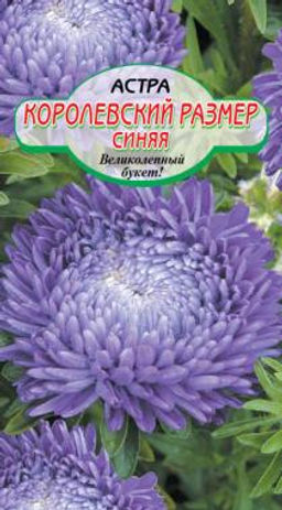 Королевский размер Синяя астра 0,2гр (ссс)