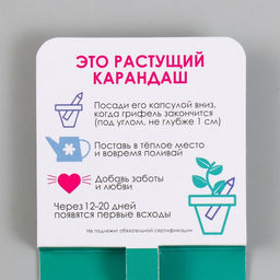 Растущие подарочные карандаши mini Будь как дерево "Сосна"