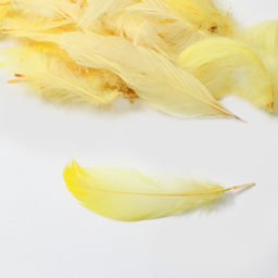 Наполнитель из перьев для шаров и подарков, золото с глиттером, 10-12см 8 г - UPAK LAND фото 2