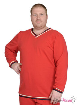 Толстовка Модель №733 размеры 44-84