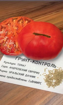 Томат АНДРЕЕВСКИЙ СЮРПРИЗ Сибирская селекция! Массой до 900 г! Устойчив к фитофторе! Один из самых вкусных!