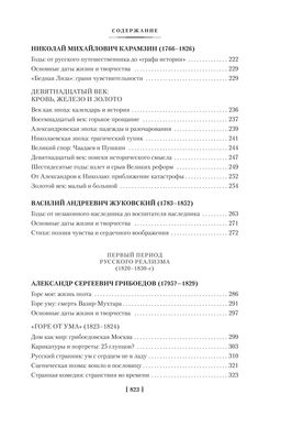 Русская литература для всех. От Слова о полку Игореве до Достоевского. Сухих И. - Азбука фото 5