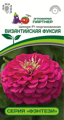Цинния георгиновидная Фэнтези Византийская Фуксия