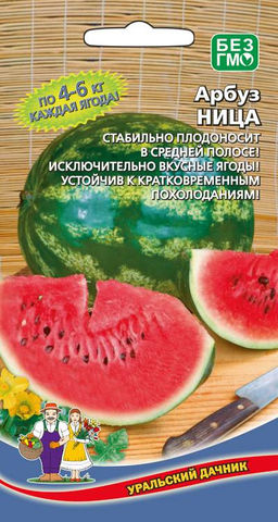 Арбуз НИЦА  Стабильное плодоношение в средней полосе! Исключительно вкусные ягоды! Устойчив к похолоданиям!