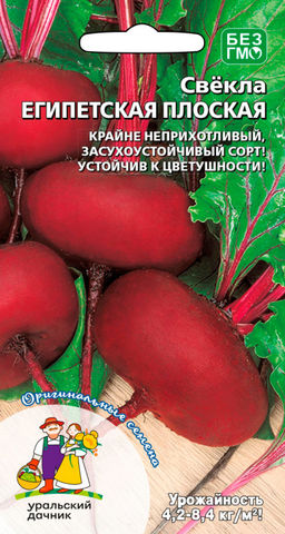 Свёкла ЕГИПЕТСКАЯ ПЛОСКАЯ